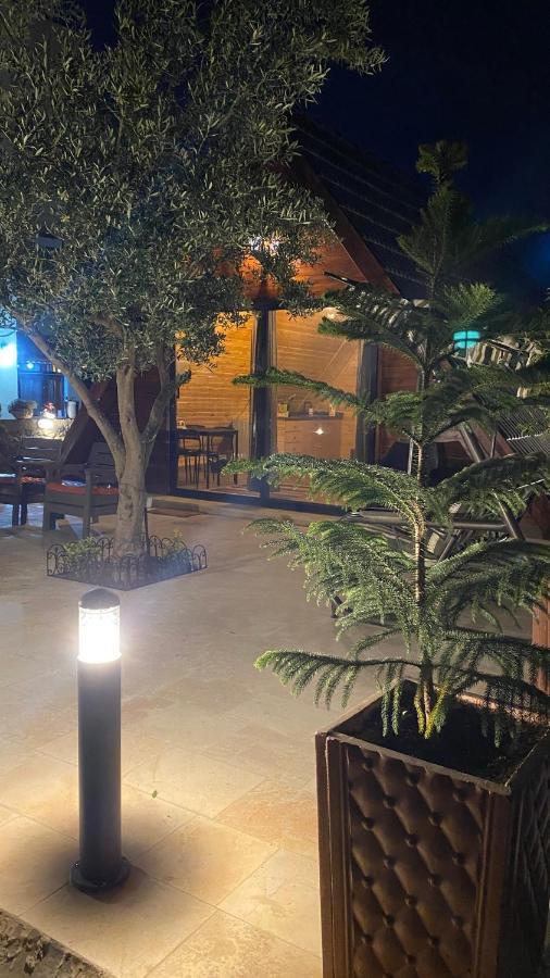 Olive Cottage มาดาบา ภายนอก รูปภาพ